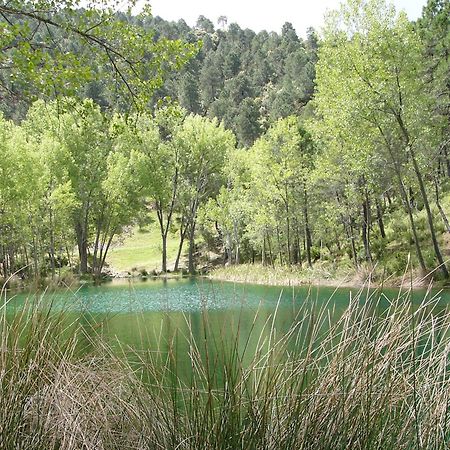 El Enebro Villa Villaverde De Guadalimar Eksteriør billede