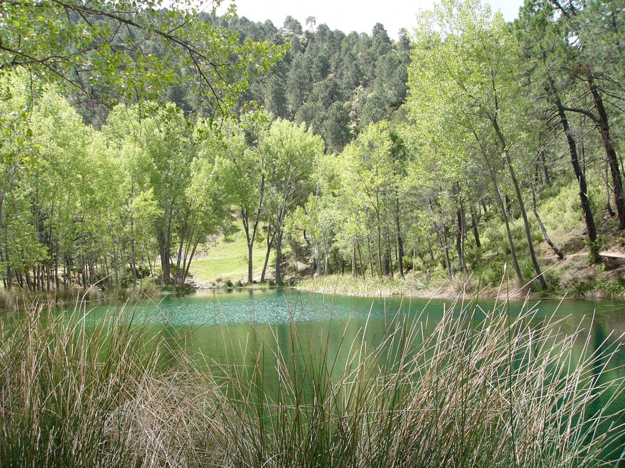 El Enebro Villa Villaverde De Guadalimar Eksteriør billede
